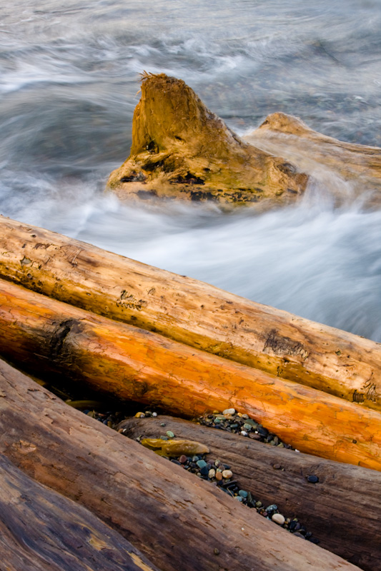 Wave Breaking Over Driftwood